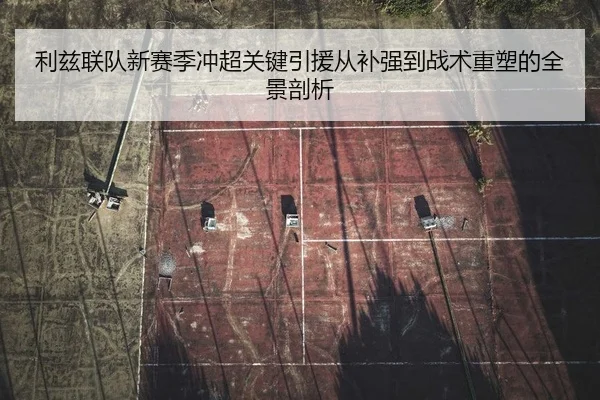 利兹联队新赛季冲超关键引援从补强到战术重塑的全景剖析